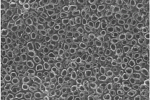 利用气相扩渗法在氧化钛纳米管上负载碳的方法