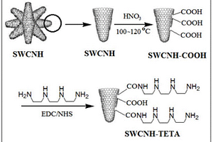 功能化单壁碳纳米角的制备方法及应用