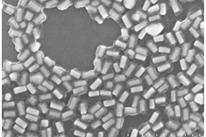 金纳米棒/银/二氧化钛核壳纳米复合结构及其制备方法