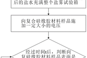 盐雾环境中复合硅橡胶材料带电加速粉化方法及系统