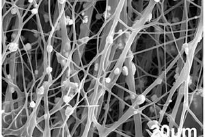 PAN基碳纤维包覆微米硼化锆颗粒多层复合纤维的制备方法