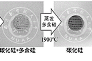 生物形态碳化硅陶瓷高温光热储存材料