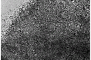 大尺寸二维钛酸锂纳米片的制备方法及应用