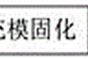 用于聚双环戊二烯反应注塑成型的注射成型工艺及装置