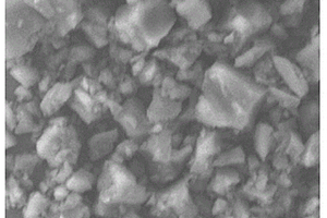 锂硫电池的硫正极及制备方法