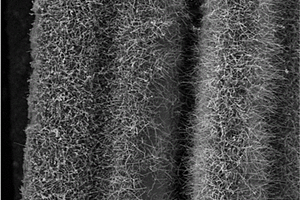 二维纤维/氮化硼纳米管多级增强体及其制备方法