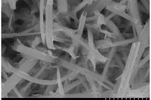 钼酸铋/硫化铋/二硫化钼三元光电催化薄膜材料电极的制备方法