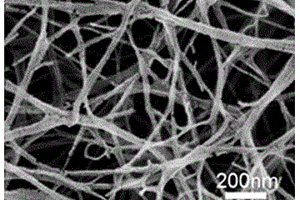 多孔细菌纤维素复合相变储热材料及其制备方法