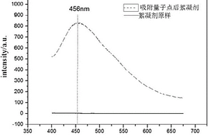 有机废水制备碳量子点及其混凝回收方法