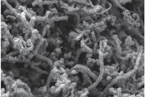 硒化钼/碳化细菌纤维素锂离子电池负极材料及其制备方法