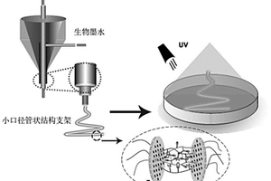 生物墨水、小口径管状结构支架及其制备方法和应用