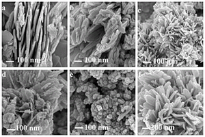 菊花状硫化铋与聚偏氟乙烯复合聚氨酯海绵及其制备方法与应用