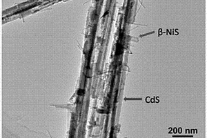 硫化镍‑硫化镉纳米线异质结构及其制备方法