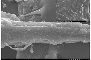 纳米二氧化硅/氟硅烷接枝改性木质纤维及其制备方法