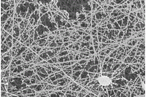 PVDF树枝结构的纳米纤维空气过滤材料及其制备方法