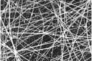 具有可再生抗菌性能的可降解纳米纤维口罩滤芯及其制备方法