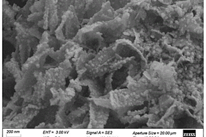 含硒化钴镍/硫化钴镍异质结构的正极材料及其制备方法