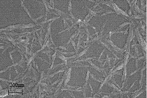 漂白桉木浆纳米纤维素的制备方法