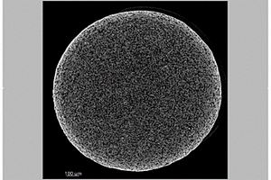 核壳结构复合微球孔隙三维结构核壳区分表征的方法