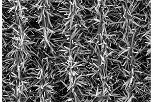 多孔碳负载硒化钴镍双功能电极材料的制备方法与应用