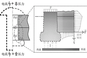 电流辅助铆接的连接域动态温升预测装置及方法