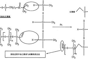 由含碳物种官能化以提高热导率的聚合物基质