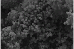 锂离子电池CA/纳米Si/石墨烯复合负极材料的制备方法