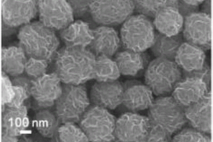 具有宽频强吸波能力的3D二硫化钼纳米微球的制备