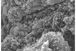 石墨烯包裹碳纳米管和MOF三维复合电极材料的制备方法