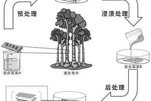 可生物降解的柔性疏水杨木单板制备方法