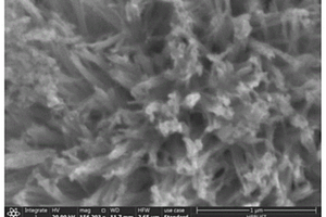 氮掺杂硅碳复合负极材料及其制备方法
