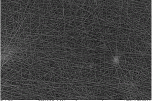 纳米荧光纤维防伪薄膜及其制备方法