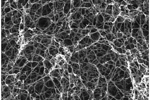 成型粉末碱溶法制备芳纶纳米纤维的方法