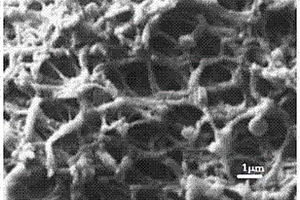 重金属污水处理用无机材料杂化的多孔生物质微球的回收方法