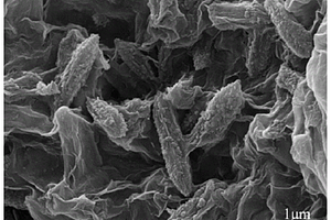 硒化铁-氧化铁纳米管/石墨烯气凝胶复合负极材料及其制备方法与应用