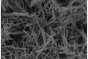 双金属氮化物多功能隔膜的制备方法及其应用