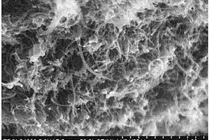 均质碳纳米管宏观体及其制备方法