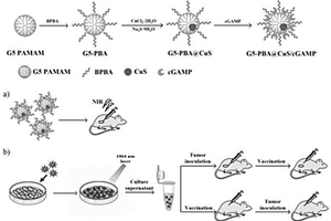 基于树状大分子包裹硫化铜纳米颗粒的肿瘤疫苗及其制备和应用