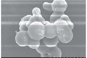 核壳结构的磁性微球吸附剂及其制备方法和应用