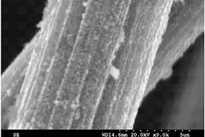 碳纤维表面纳米CoFeB吸波涂层的制备方法