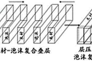 微生物衍生材料在聚合物应用中的用途