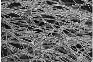 纤维素纳米纤维增强炭粉/超高分子量聚乙烯的制备方法