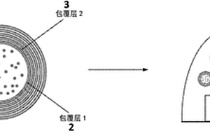 多层包覆的量子点珠