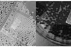 纳米材料固定化微生物修复剂及其制备方法和应用