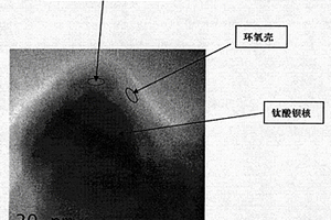 表面环氧树脂修饰的钛酸钡微粒子及其制备方法