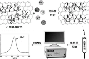 用于痕量铅离子检测的石墨烯-聚吡咯电化学传感器的制备方法及应用