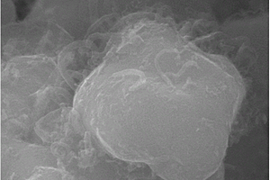 原位生长碳纳米管增强银基电接触材料的制备方法