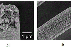 碳化硅纳米纤维束及其制备方法