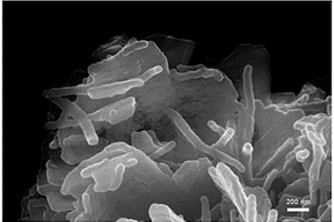 镍钴铝酸锂复合正极材料及其制备方法和应用