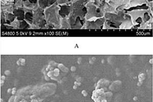 纳米生物玻璃/高分子三维多孔材料及其制备方法和应用